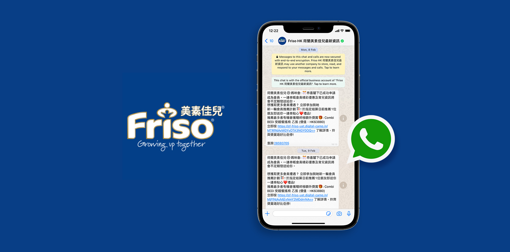 FRISO WHATSAPP MESSAGE WITH API DEVELOPMENT SERVICE