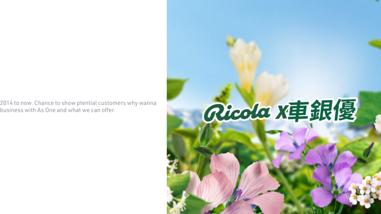 Ricola Social Media Maintenance