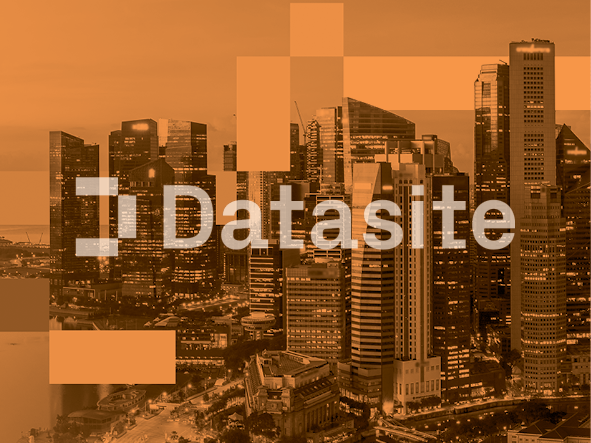 DATASITE <br /> DIGITAL CREATIVE <br /> DELIVERABLES