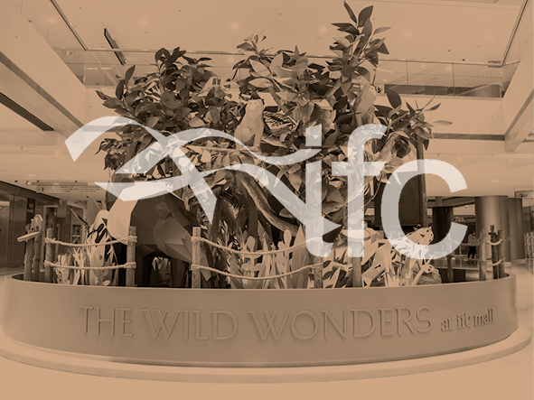 IFC <br /> SUMMER BOOTH