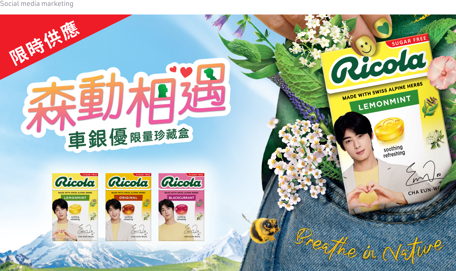 Ricola Social Media Maintenance